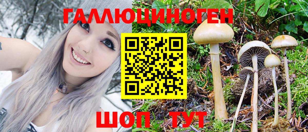 Галлюциногенные грибы Psilocybine cubensis  Вход с VPN  Мытищи 